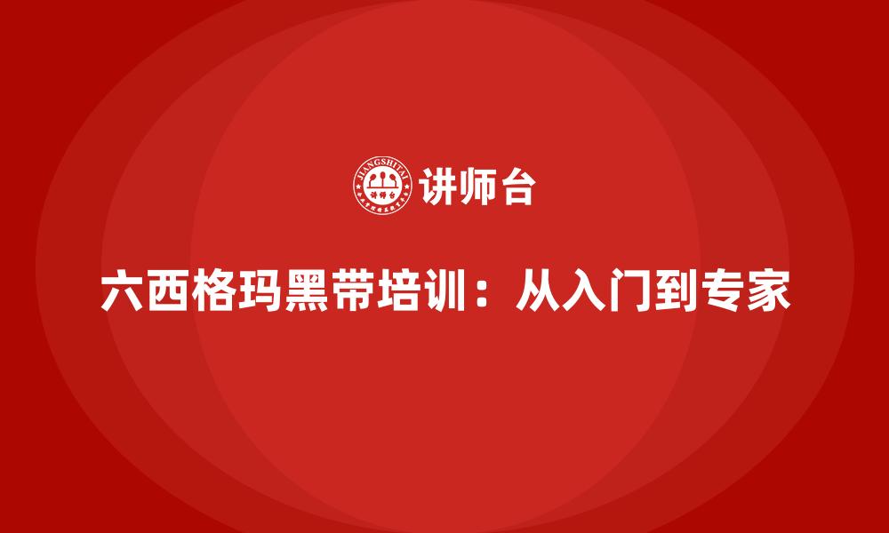 六西格玛黑带培训：从入门到专家